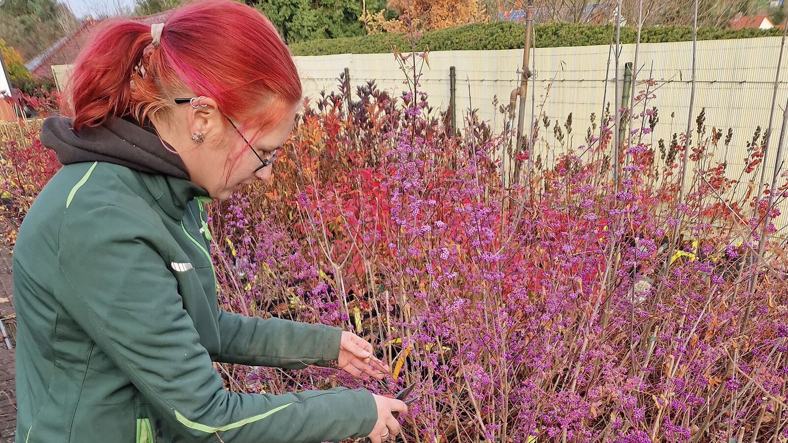 Mitarbeiterin Gärtnerei Nickel Eine Mitarbeiterin der Gärtnerei Nickel kniet im Blumenbeet.