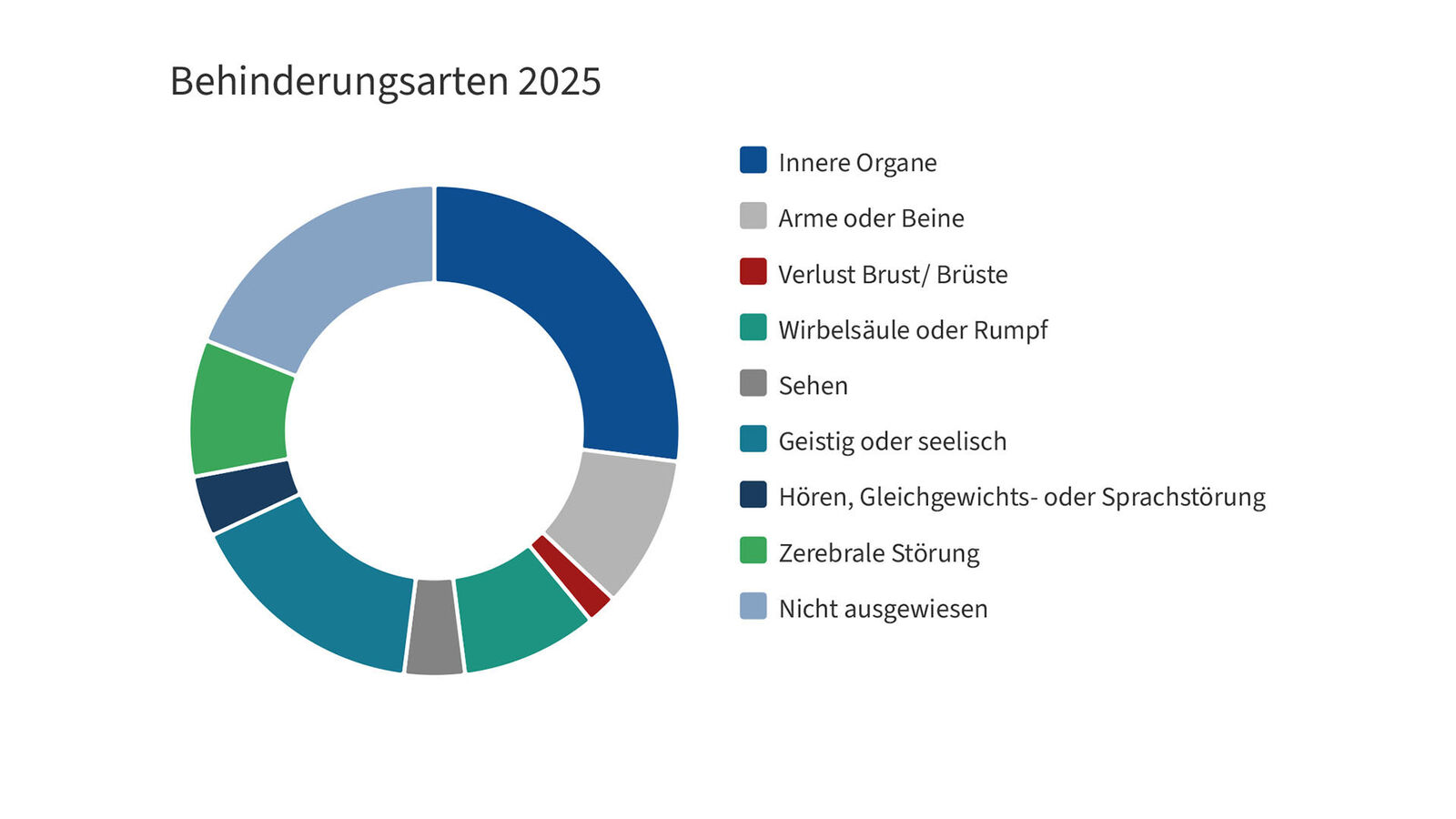 Kreisdiagramm mit den häufigsten Behinderungsarten, Stichtag: 31.12.2025