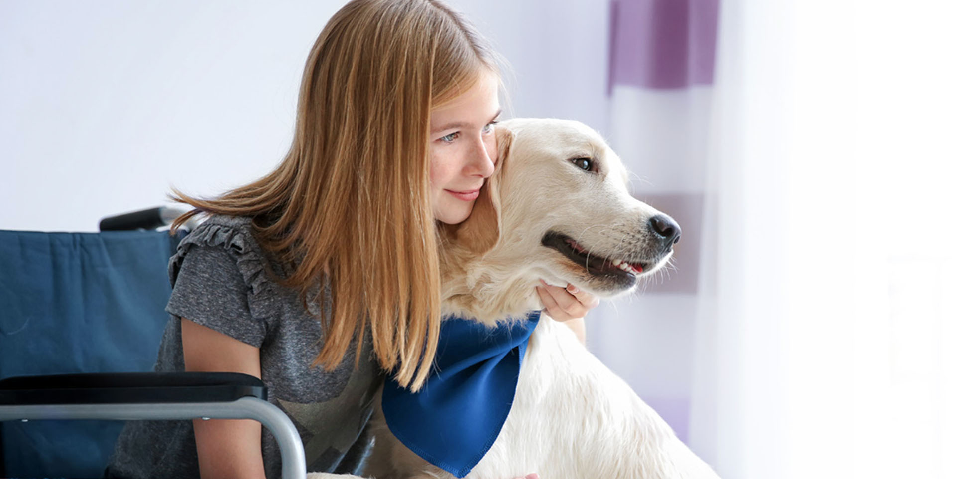 Assistenz auf vier Pfoten Eine junge Frau im Rollstuhl hält einen großen Hund im Arm