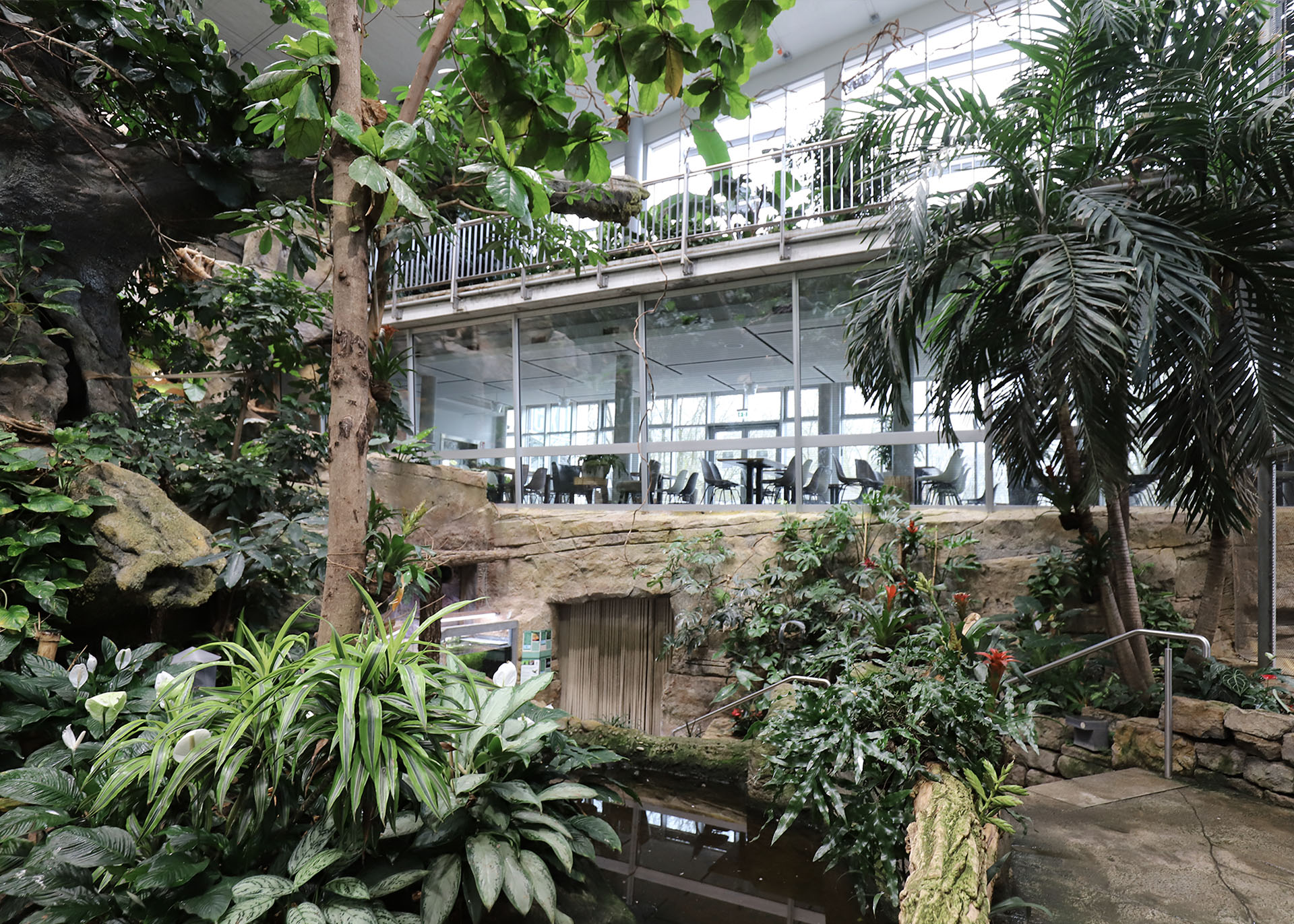 Das Restaurant im Karlsruher Zoologischen Tiergarten ist in das Exotenhaus mit vielen großen grünen Pflanzen integriert