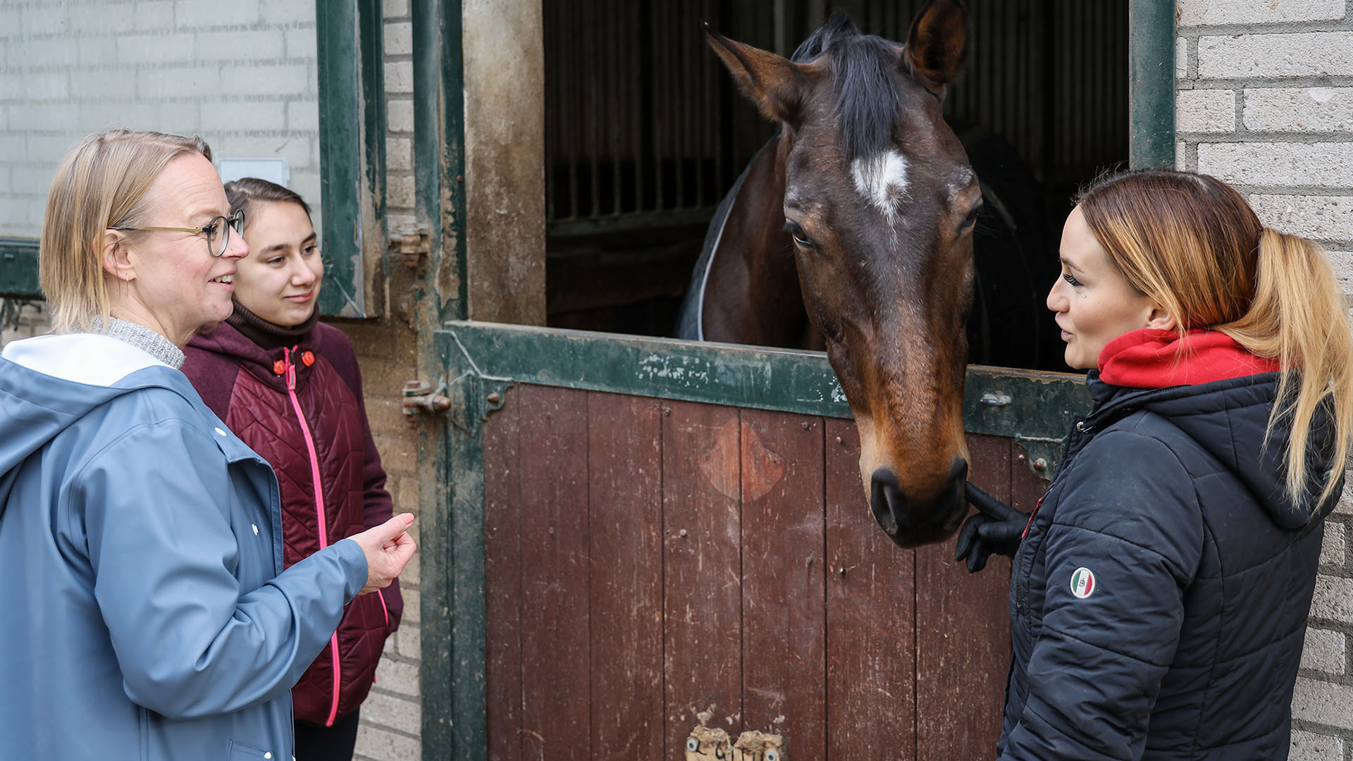 Eileen Düchting, Celina Prehl und Anna Lisa Arbeiter stehen vor einer offenen Box. Ein dunkelbraunes Reitpferd mit weißem Stern steckt den Kopf aus dem Fenster und lässt sich kraulen.