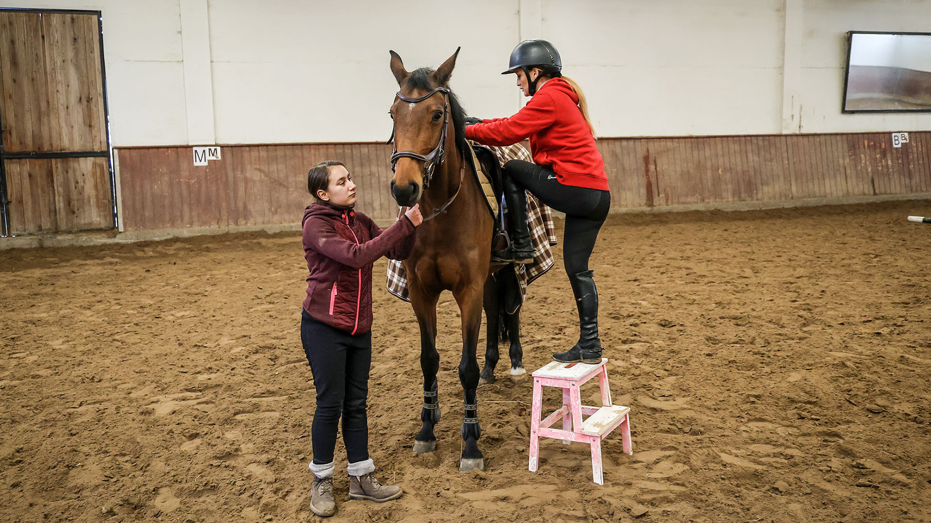 Celina Prehl hält ein Pferd am Zügel, während ihre Chefin von einem zweistufigen Hocker auf das Pferd aufsteigt.beim Auf