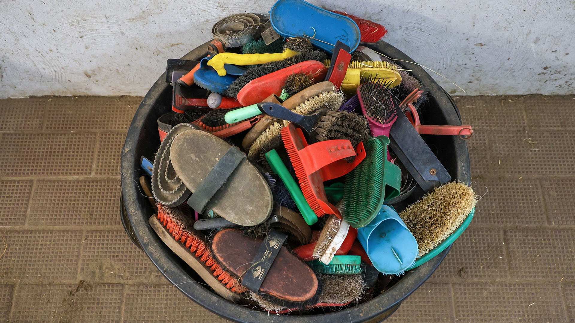 Ein großer Betonbottich ist bis zum Rand gefüllt mit Striegelbürsten aus Plastik in leuchtend bunten Farben. Dazwischen liegen auch einige Bürsten aus Holz.