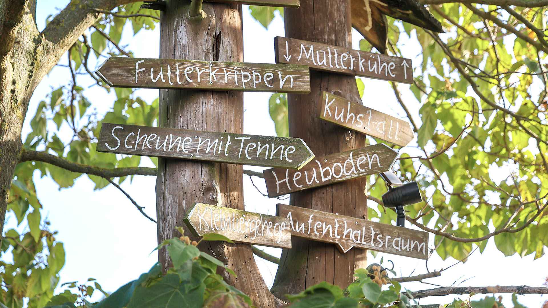 Einige Wegweiser zeigen den Campingplatzbesuchern die verschiedenen Orte.