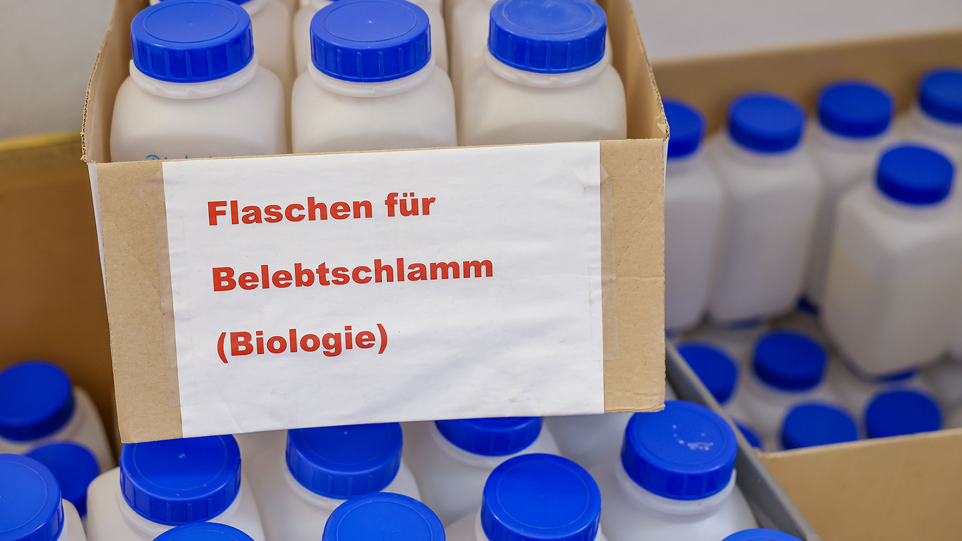 Die Proben werden in kleinen Container-Flaschen aufbewahrt. Daran hängt ein Zettel: "Flaschen für Belebtschlamm"